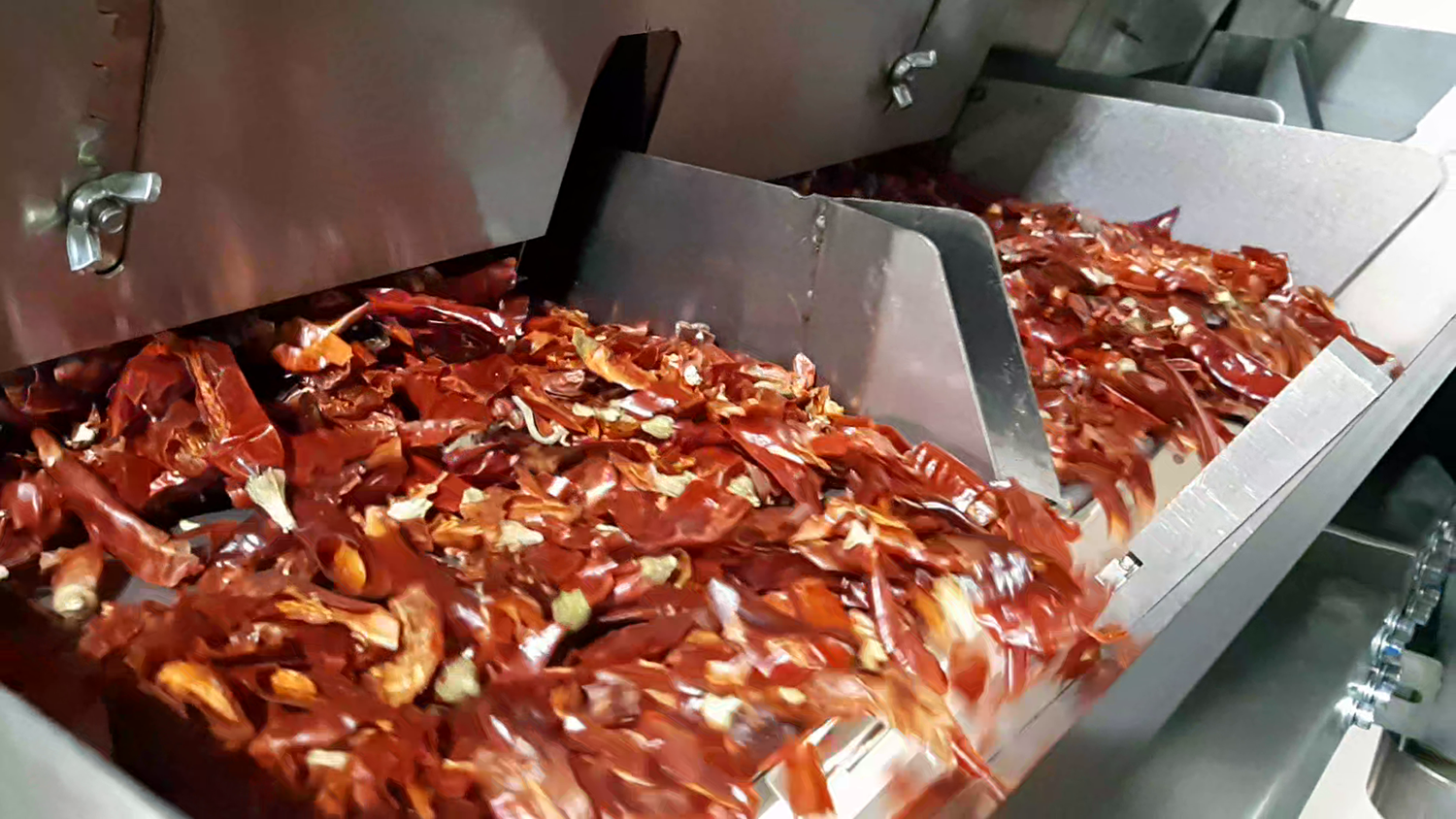 dehydrated vegetables on a sorting machine