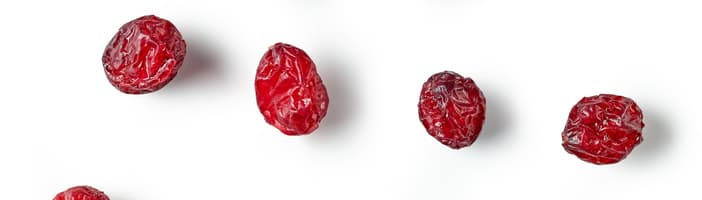 Cranberries 2