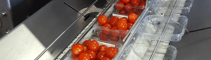 TOMRA tomato sorting