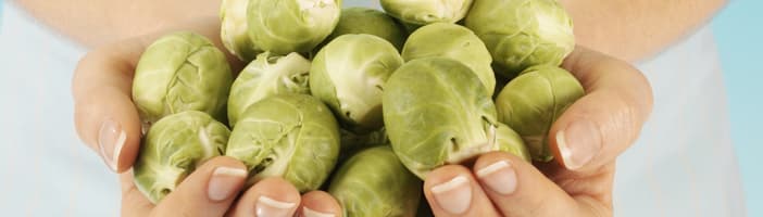 Brussels_sprouts-Key_Benefits-3