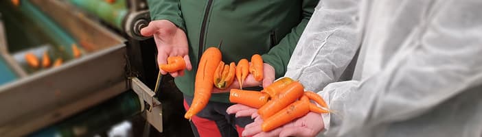 Carrots-Key_Benefits-3