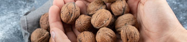 TOMRA walnut sorting