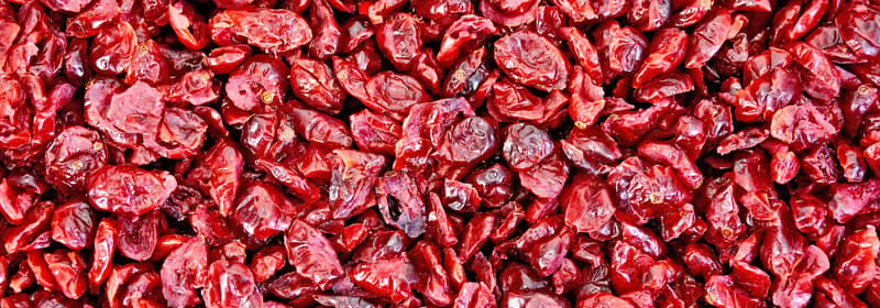 Dried cranberries 4